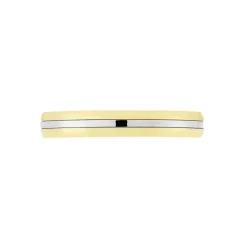 Alliance Prescilia Ruban Plat Or Bicolore