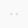 Boucles D'oreilles Puces Aconit Or Jaune Oxyde