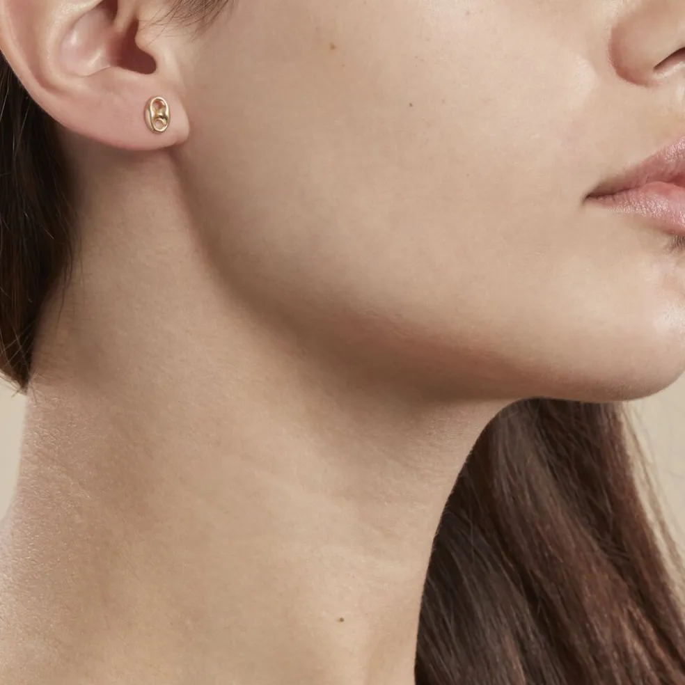 Boucles D'oreilles Puces Cara Or Jaune
