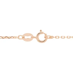 Chaîne Igoa Maille Forçat Diamantee Or Rose