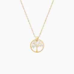 Collier Aragorn Or Bicolore