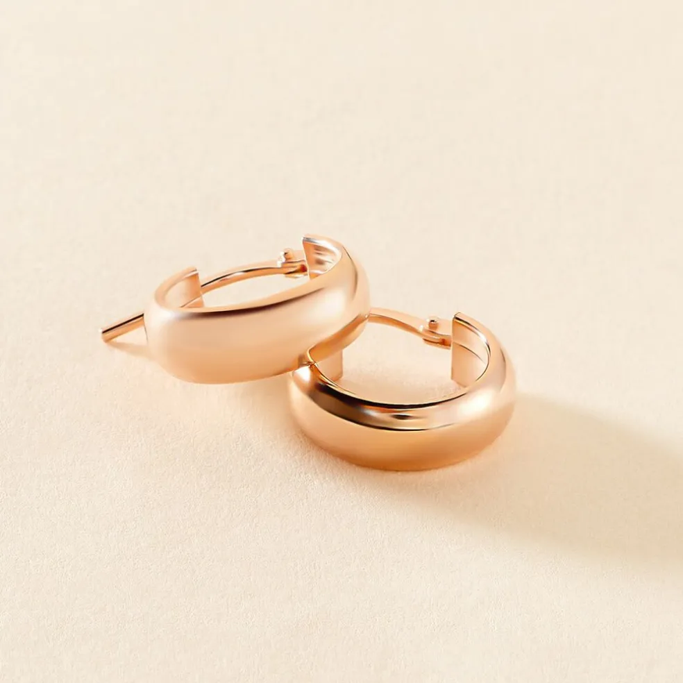 Créoles Lisa Argent Rose