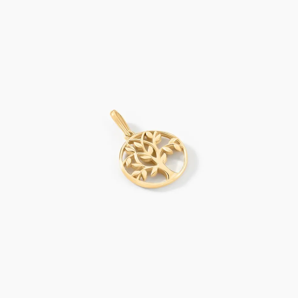 Pendentif Or Jaune Edelys