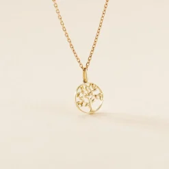 Pendentif Or Jaune Edelys
