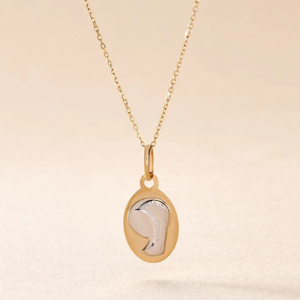 Pendentif Vierge Ovale Or Bicolore