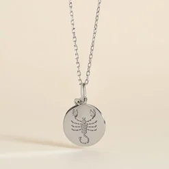 Pendentif Zodiaque Rond Argent Blanc