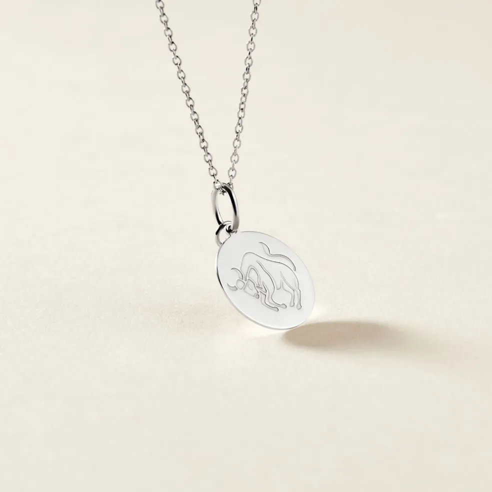 Pendentif Zodiaque Rond Argent Blanc