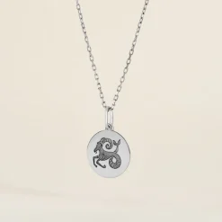 Pendentif Zodiaque Rond Argent Blanc