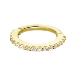 Piercing D'oreille Or Jaune Amaranthe Oxydes De Zirconium