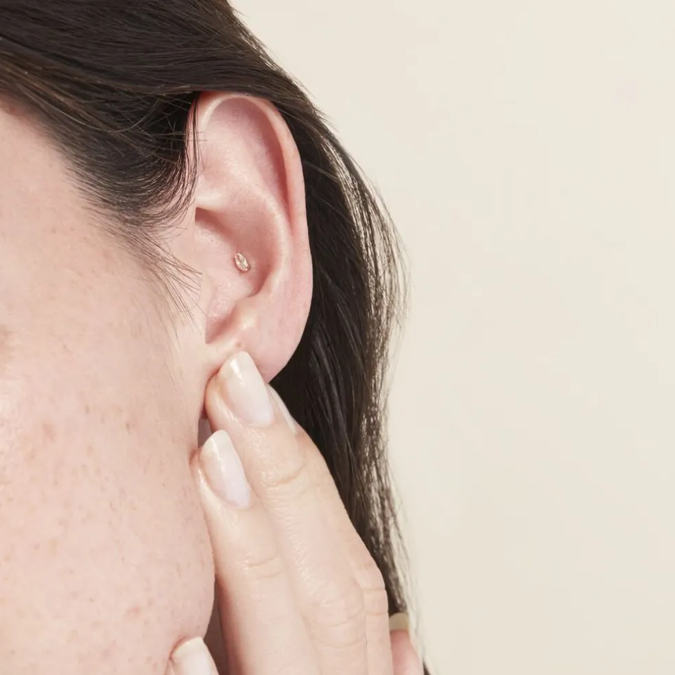 Piercing D'oreille Or Jaune Albiza Oxyde De Zirconium