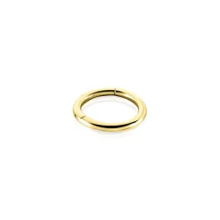 Piercing D'oreille Or Jaune Aloes